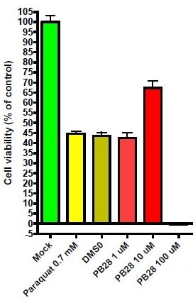 PB 28 dihydrochloride 2562