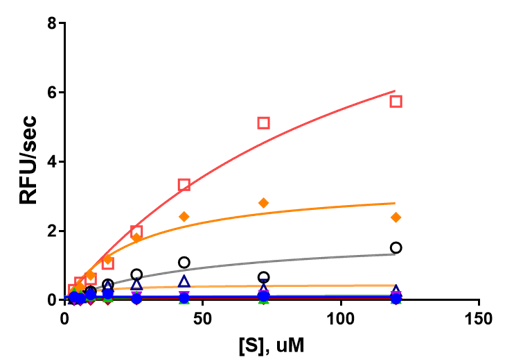 Recombinant Human Kallikrein 7 Protein, CF 2624-SE