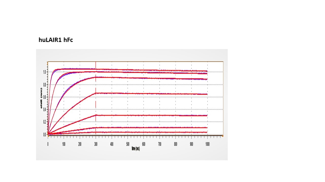 Recombinant Human LAIR2 Protein, CF 2665-LR