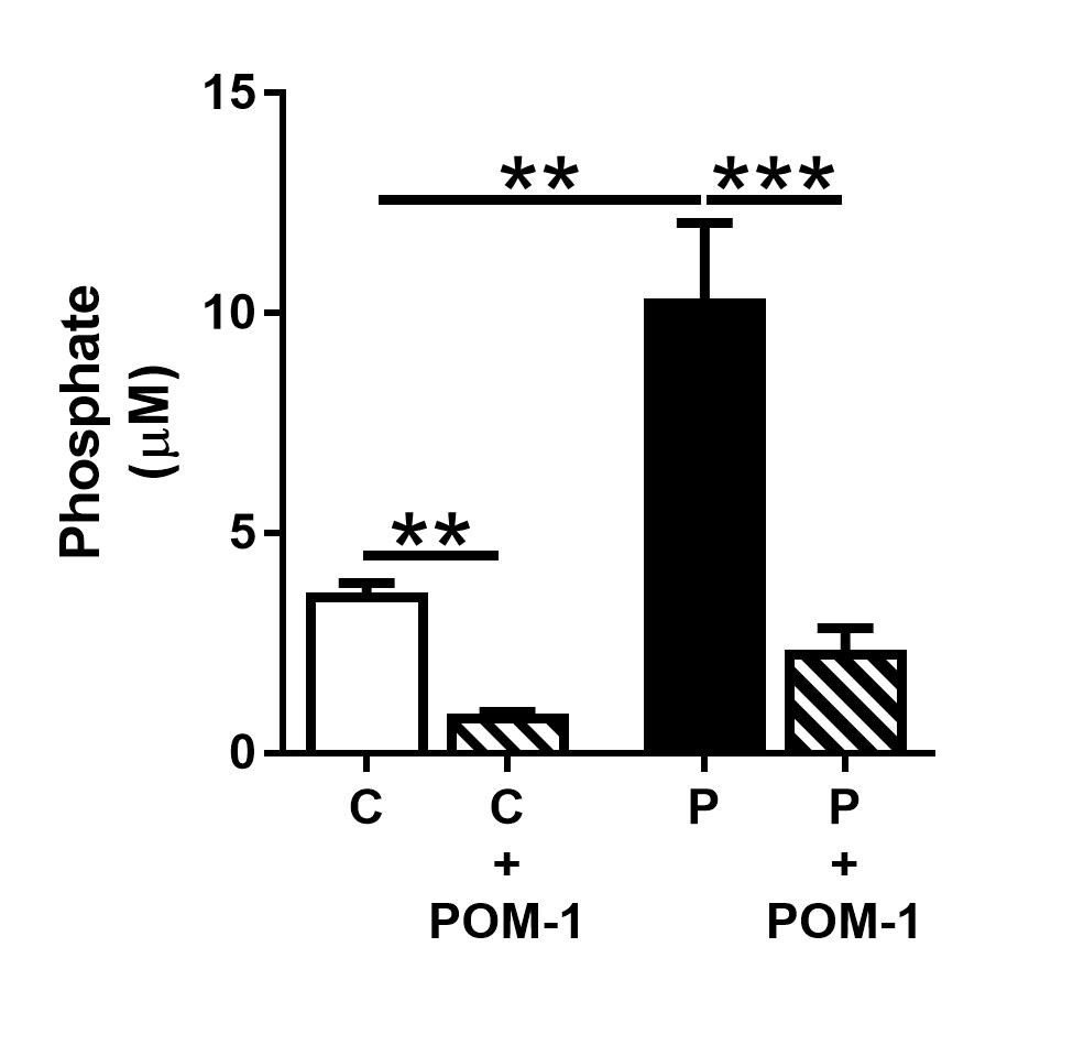 POM 1 2689