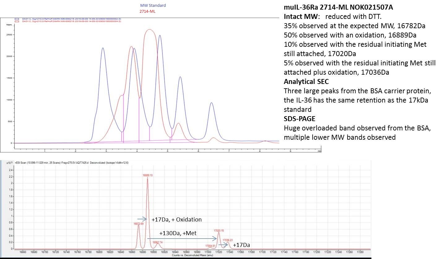 Recombinant Mouse IL-36Ra/IL-1F5 Protein 2714-ML