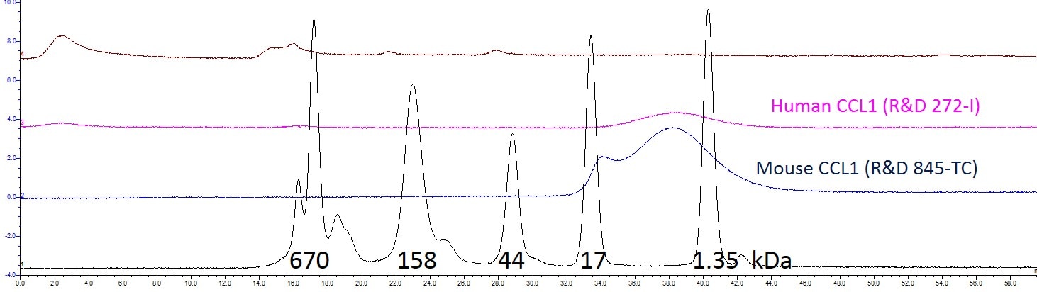 Recombinant Human CCL1/I-309 Protein 272-I