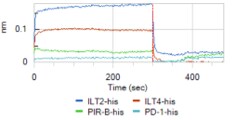 Recombinant Mouse PIR-B Protein, CF 2754-PB