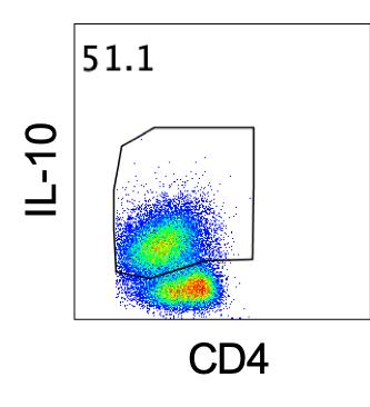 Recombinant Mouse IL-27 (NS0-expressed) Protein 2799-ML