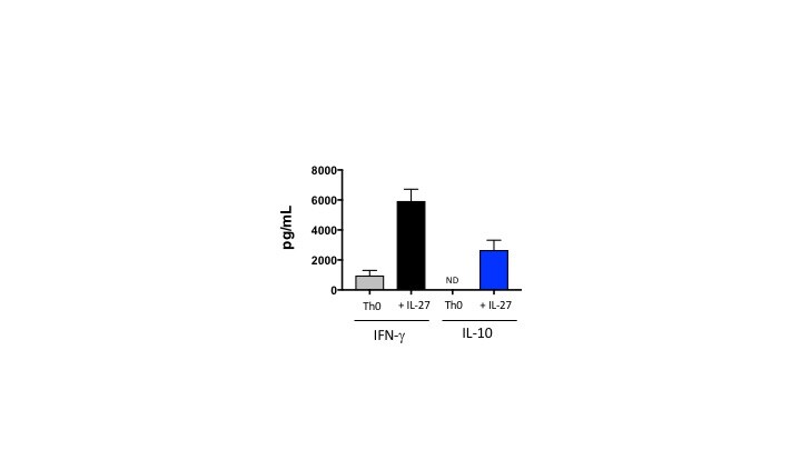 Recombinant Mouse IL-27 (NS0-expressed) Protein 2799-ML