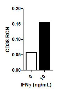 Recombinant Human IFN-gamma Protein 285-IF