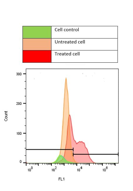 Recombinant Human IFN-gamma Protein 285-IF
