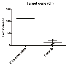 Recombinant Human IFN-gamma Protein 285-IF