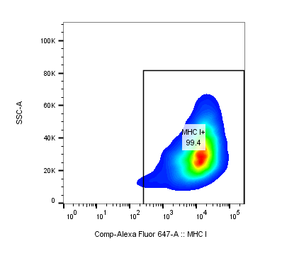 Recombinant Human IFN-gamma Protein 285-IF