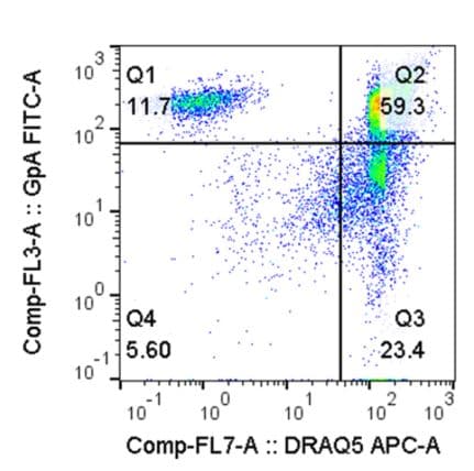 Recombinant Human Erythropoietin/EPO (Tissue Culture Grade) 287-TC