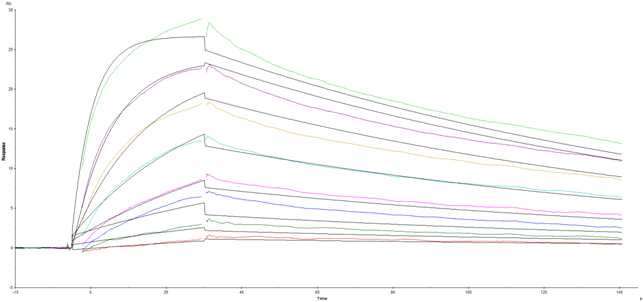 Human Holo-Transferrin Protein, CF 2914-HT