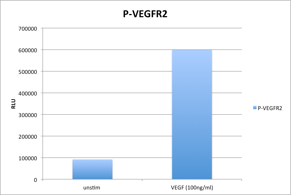 Recombinant Human VEGF 165 Protein 293-VE