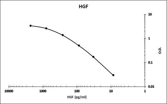 Recombinant Human HGF Protein 294-HG
