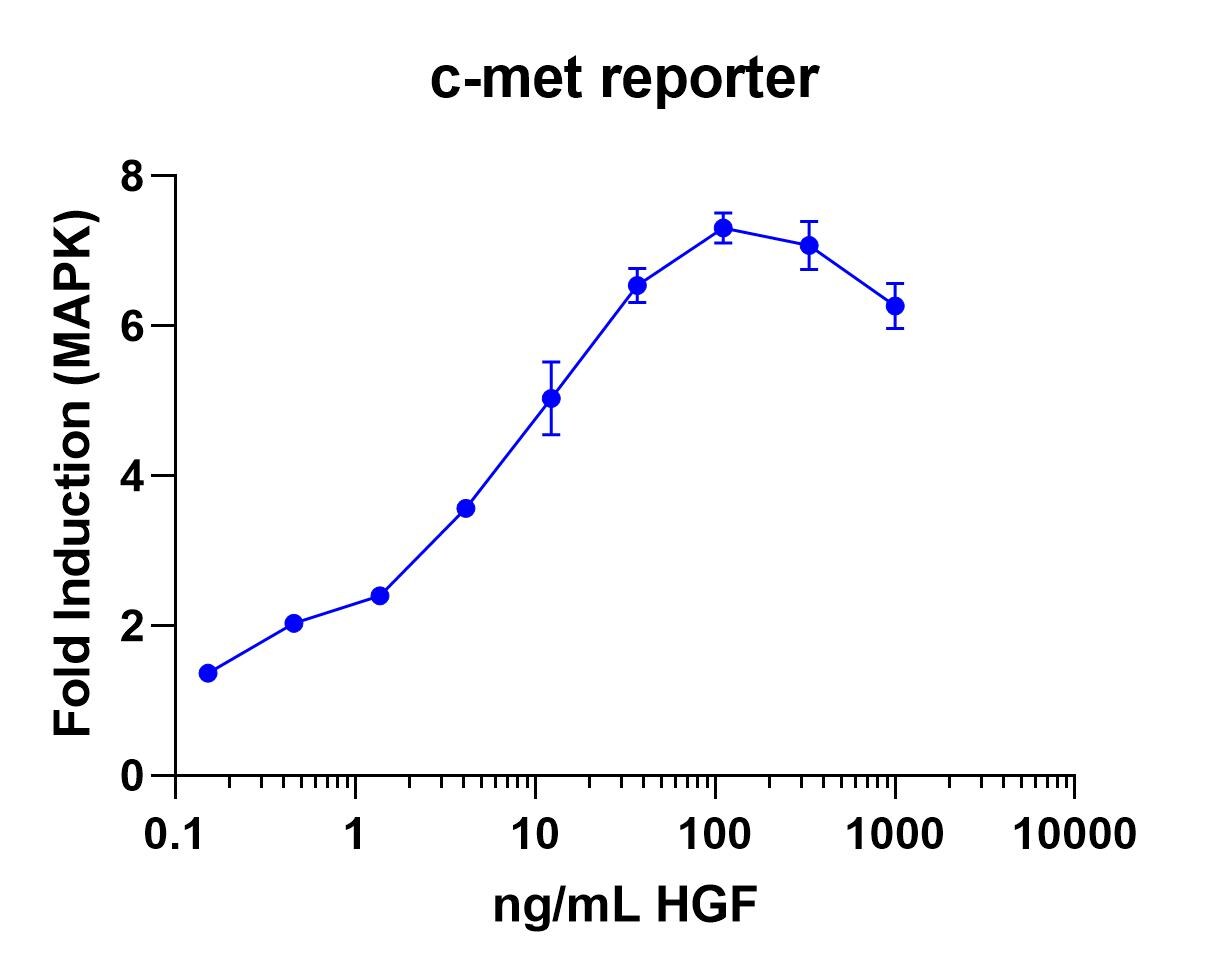 Recombinant Human HGF (NS0-expressed) Protein 294-HGN