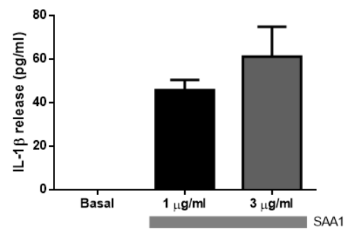 Recombinant Mouse Serum Amyloid A1 Protein, CF 2948-SA