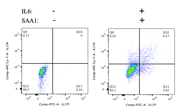 Recombinant Mouse Serum Amyloid A1 Protein, CF 2948-SA
