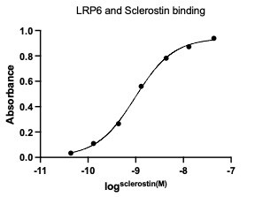 Recombinant Mouse LRP-6 His Tagged Protein, CF 2960-LR