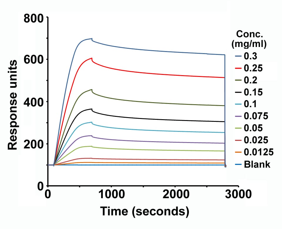 Recombinant Human Integrin alpha V beta 3 Protein, CF 3050-AV