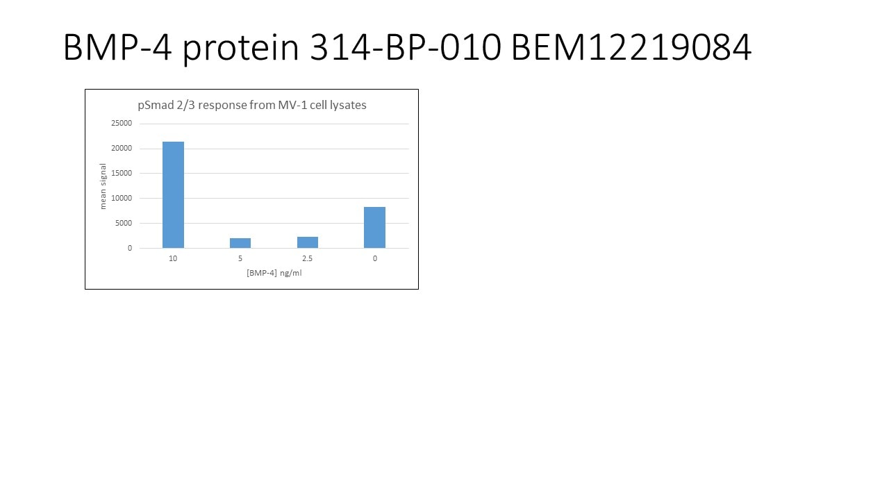 Recombinant Human BMP-4 Protein 314-BP