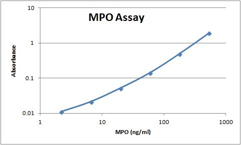 Recombinant Human Myeloperoxidase Protein, CF 3174-MP