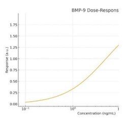 Recombinant Human BMP-9 Protein 3209-BP