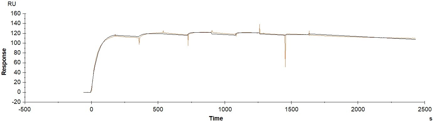 Recombinant Human VEGFR1/Flt-1 Fc Chimera Protein 321-FL