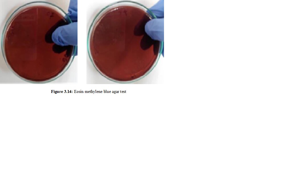 Methylene Blue 3213