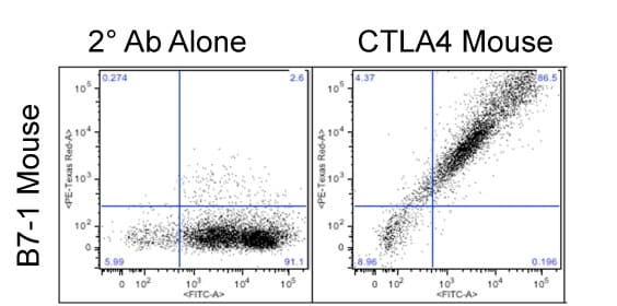 Recombinant Human CTLA-4 Fc Chimera His-tag Protein 325-CT