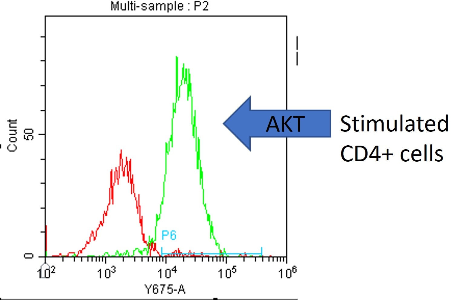 Recombinant Human CTLA-4 Fc Chimera His-tag Protein 325-CT