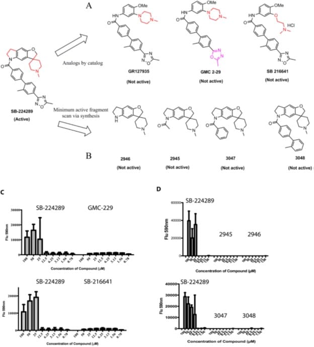 Valinomycin 3373