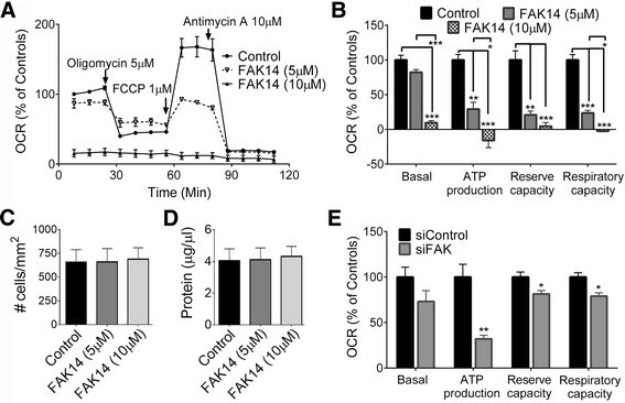 FAK Inhibitor 14 3414