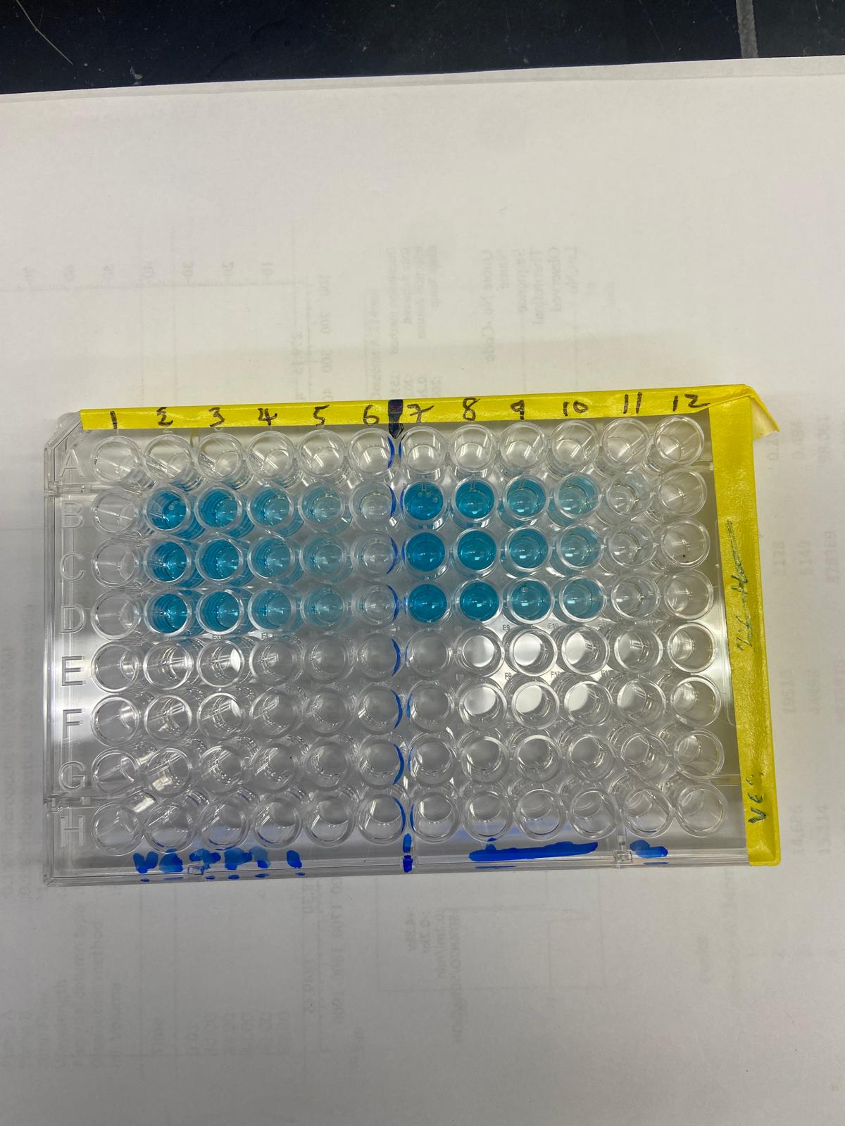 Recombinant Human VEGFR3/Flt-4 Fc Chimera Protein, CF 349-F4