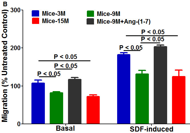 Recombinant Human/Rhesus Macaque/Feline CXCL12/SDF-1 alpha 350-NS