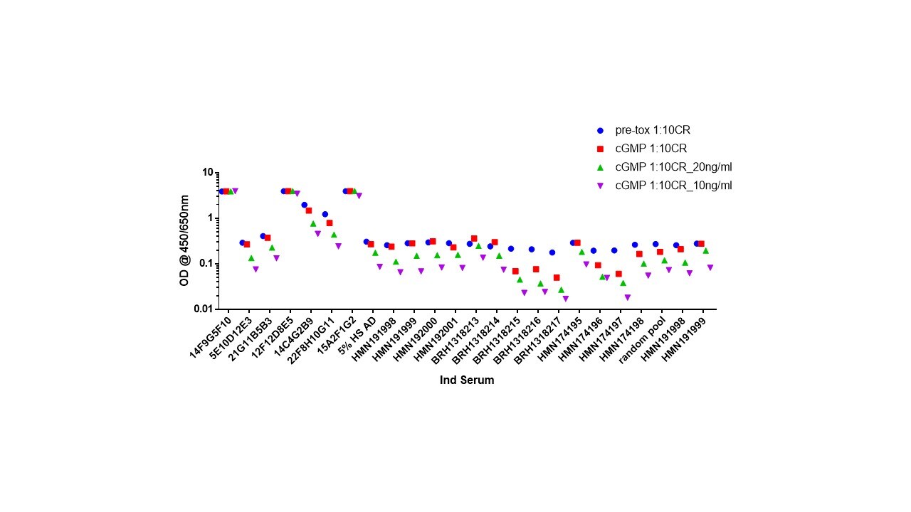 Recombinant Human Nogo-A (aa 566-748) Fc Chimera Protein, CF 3515-NG