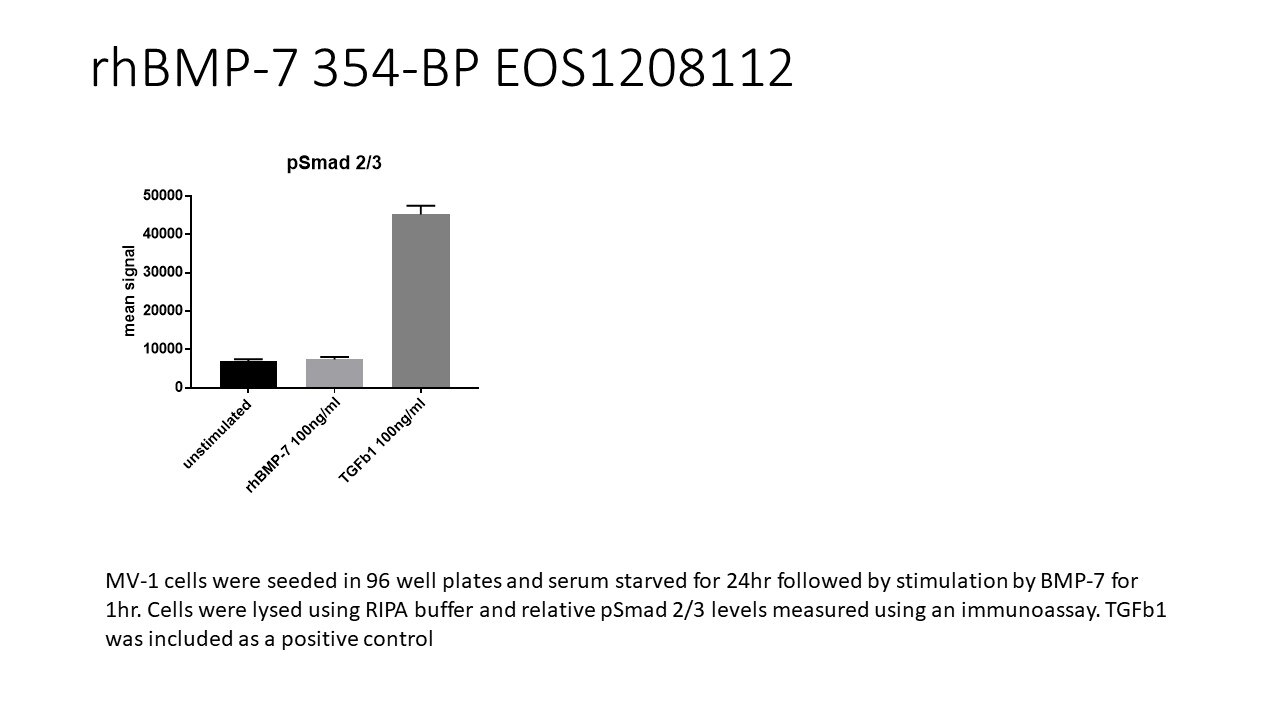 Recombinant Human BMP-7 Protein 354-BP