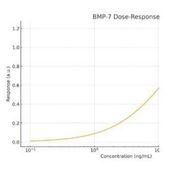 Recombinant Human BMP-7 Protein 354-BP