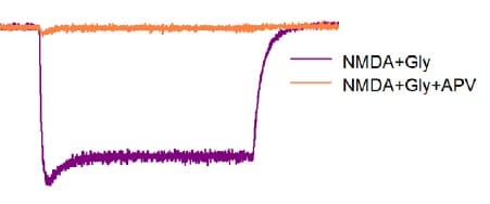 (RS)-MCPG disodium salt 3696