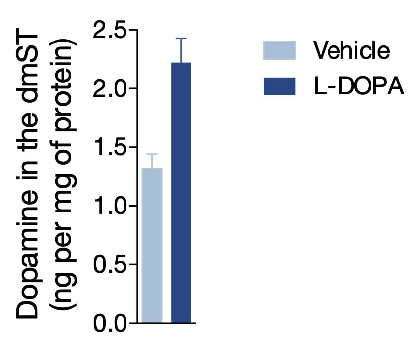 L-DOPA 3788