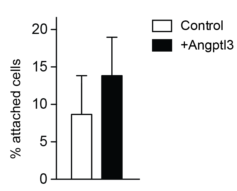 Recombinant Human Angiopoietin-like 3 Protein, CF 3829-AN