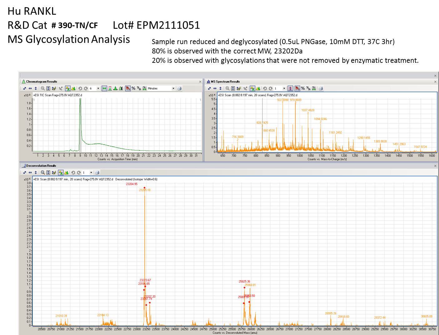 Recombinant Human TRANCE/RANK L/TNFSF11 Protein 390-TN