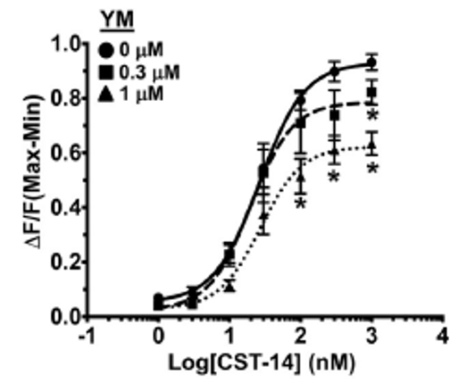 YM 58483 3939