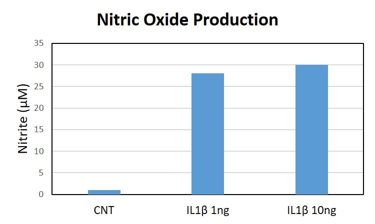 Recombinant Mouse IL-1 beta/IL-1F2 Protein 401-ML