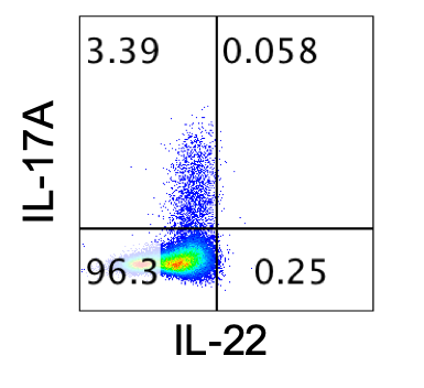 Recombinant Mouse IL-1 beta/IL-1F2 Protein 401-ML