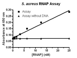 α-Amanitin 4025