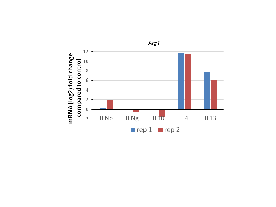 Recombinant Mouse IL-4 Protein 404-ML