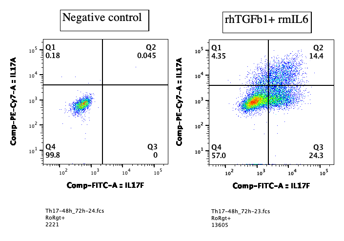 Recombinant Mouse IL-6 Protein 406-ML