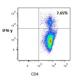 Recombinant Mouse TNF-alpha (aa 80-235) Protein 410-MT