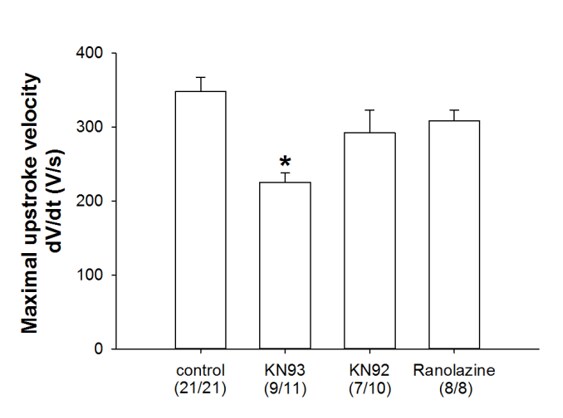 KN 92 4130