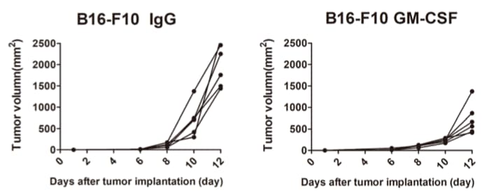 Recombinant Mouse GM-CSF Protein 415-ML