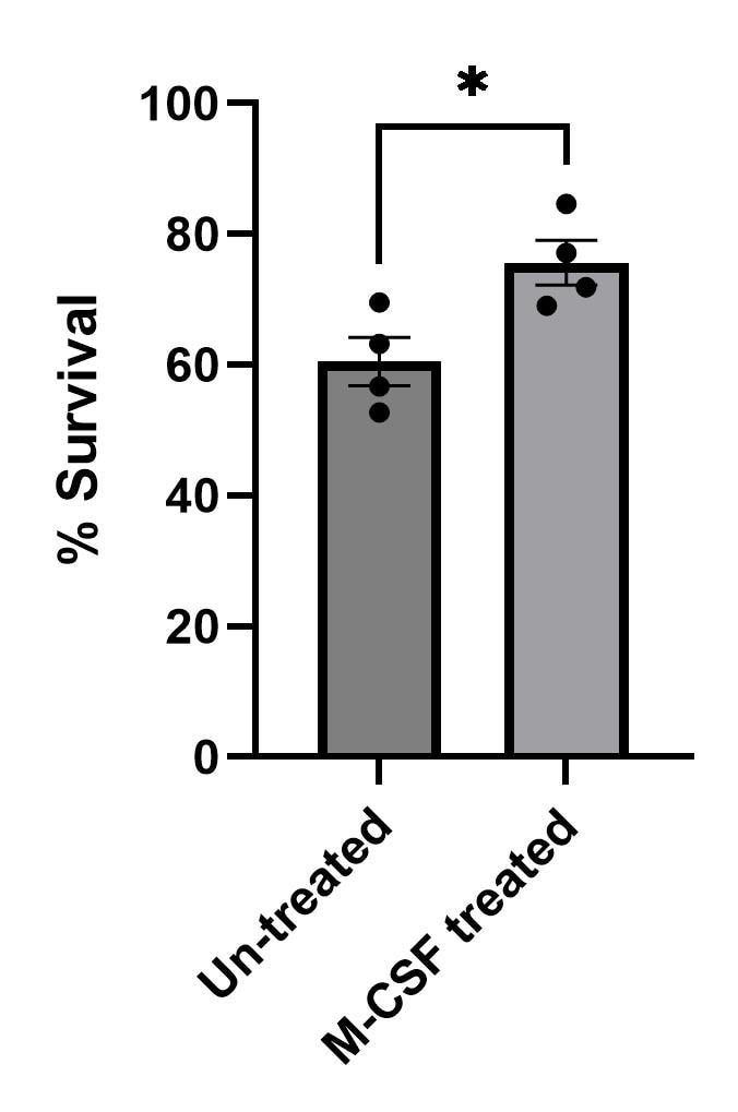 Recombinant Mouse M-CSF Protein 416-ML